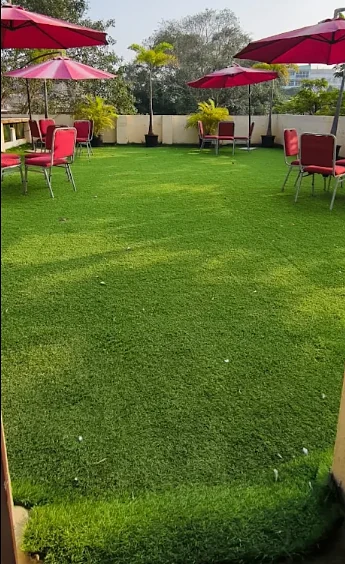 Rooftop lawn